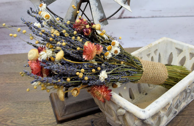 Curly Willow Branches for Arrangements - Long Stem Natural