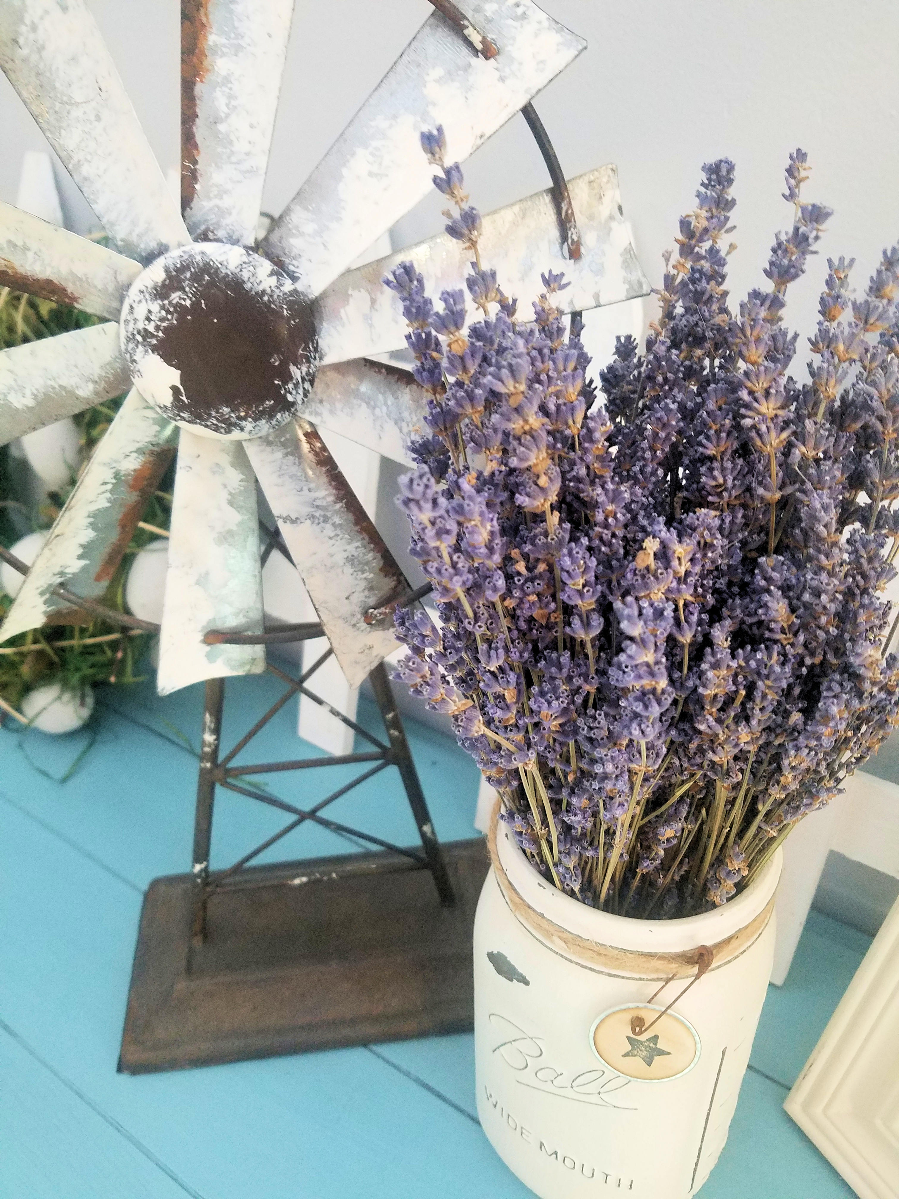 Dried Lavender Bunch