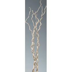 Curly Willow Branches for Arrangements (Long Stem)