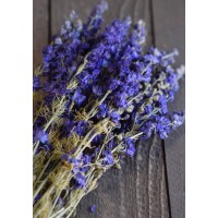 Dried Flowers