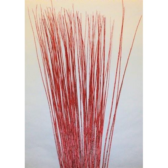 Asian Willow 4-5 foot