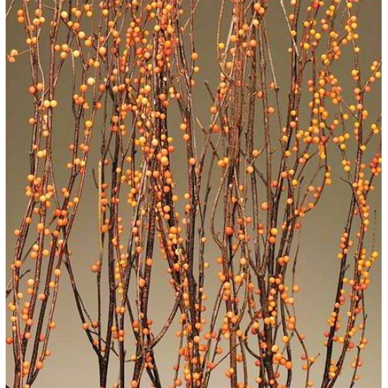 Berry Birch Branches - Bittersweet (Orange)