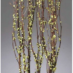 Berry Birch Branches - Green