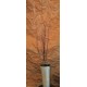 Berry Birch Branches - Red Berry Birch Branches - Red