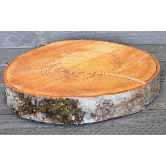Red Alder Wood Slices (Birch Slices) - Medium Red Alder Wood Slices (Birch Slices) - Medium