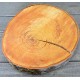 Red Alder Wood Slices (Birch Slices) - Medium