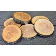 Red Alder Wood Slices (Birch Slices) - Small