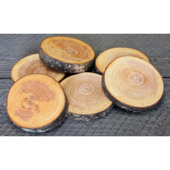 Red Alder Wood Slices (Birch Slices) - Small Red Alder Wood Slices (Birch Slices) - Small