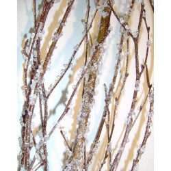 Ice Crystal Birch Branches