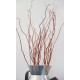 Dark Curly Willow (Weddings, Events, Centerpieces)