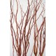 Dark Curly Willow (Weddings, Events, Centerpieces)