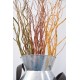 Dark Curly Willow (Weddings, Events, Centerpieces) Dark Curly Willow (Weddings, Events, Centerpieces)