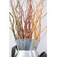 Dark Curly Willow (Weddings, Events, Centerpieces)