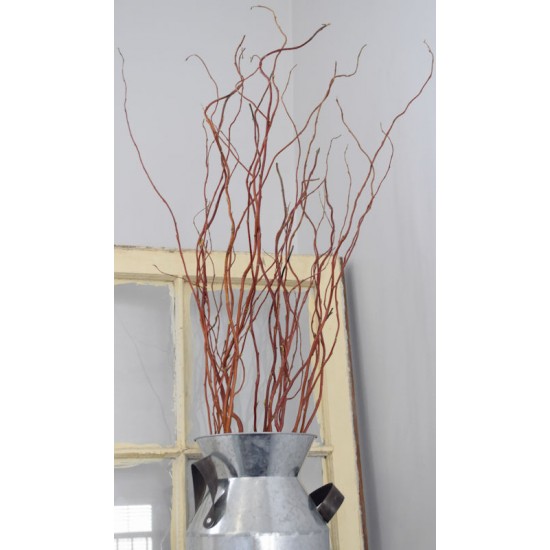 Dark Curly Willow (Weddings, Events, Centerpieces)