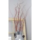 Dark Curly Willow (Weddings, Events, Centerpieces)