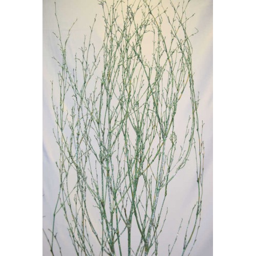 Decorative Branches Dried Branches for Sale Decorative Sticks