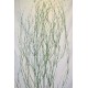 Dried Deco Branch - Green Glittered 3-4ft