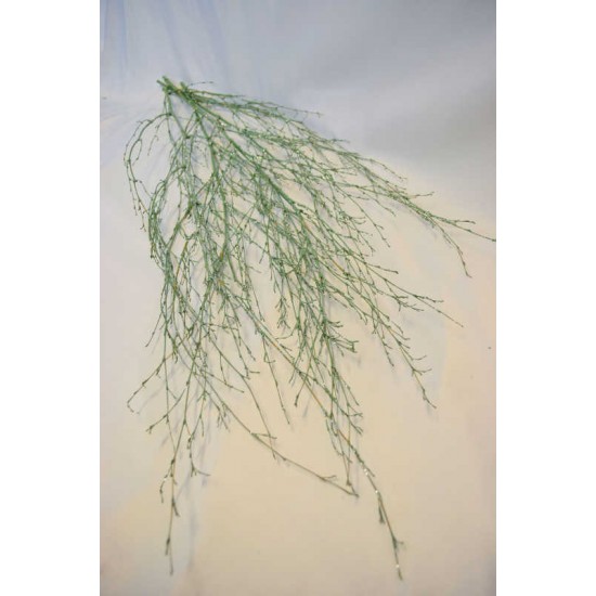 Dried Deco Branch - Green Glittered 3-4ft Dried Deco Branch - Green Glittered 3-4ft
