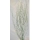 Dried Deco Branch - Green Glittered 3-4ft