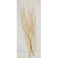 Dried Deco Branch - Gold 3-4ft