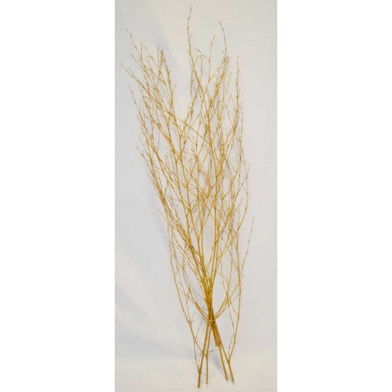 Dried Deco Branch - Gold 3-4ft