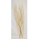 Dried Deco Branch - Gold 3-4ft