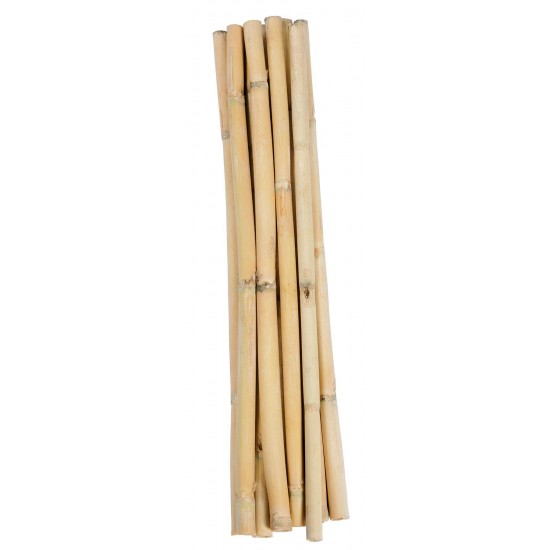 Short Dried Bamboo Sticks - Shoots