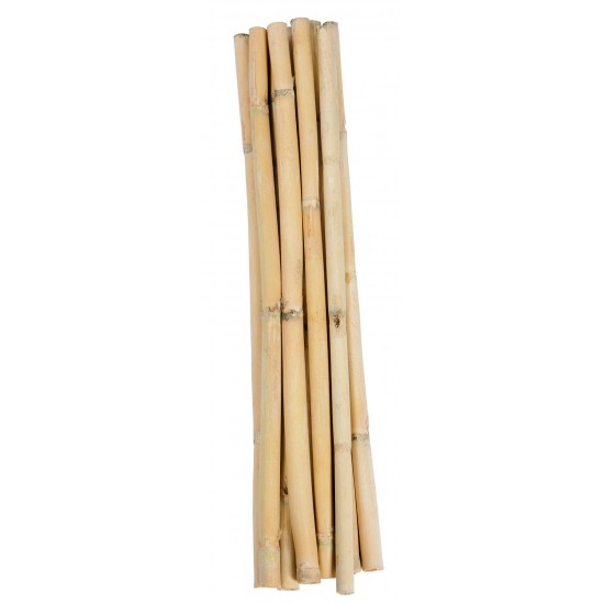 Short Dried Bamboo Sticks - Shoots Short Dried Bamboo Sticks - Shoots
