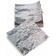 Dried Birch Bark Sheets - Cured & Natural
