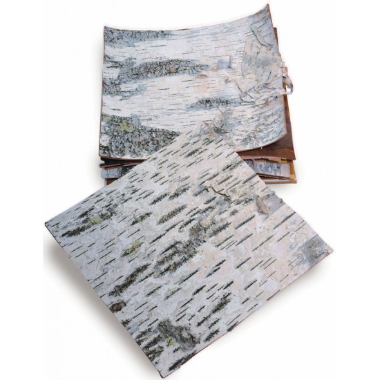  Natural White Birch Bark 10 Sheets 8 x 8 - DIY Crafts Made  Easy with Natural White Birch Bark