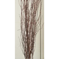 Decorative Birch Branches For Sale