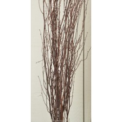 Decorative Birch Branches For Sale