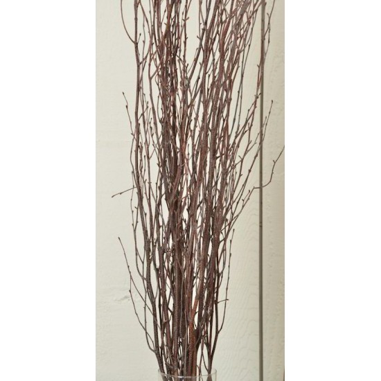 Birch Branches Wholesale