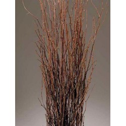 Decorative Birch Branches 4-5ft (Case Only)