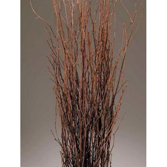 Decorative Birch Branches For Sale