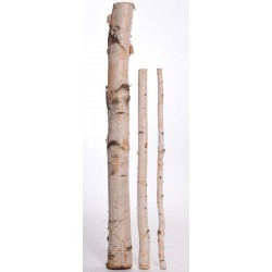 White Birch Poles - 4 ft - For Sale - Decorative