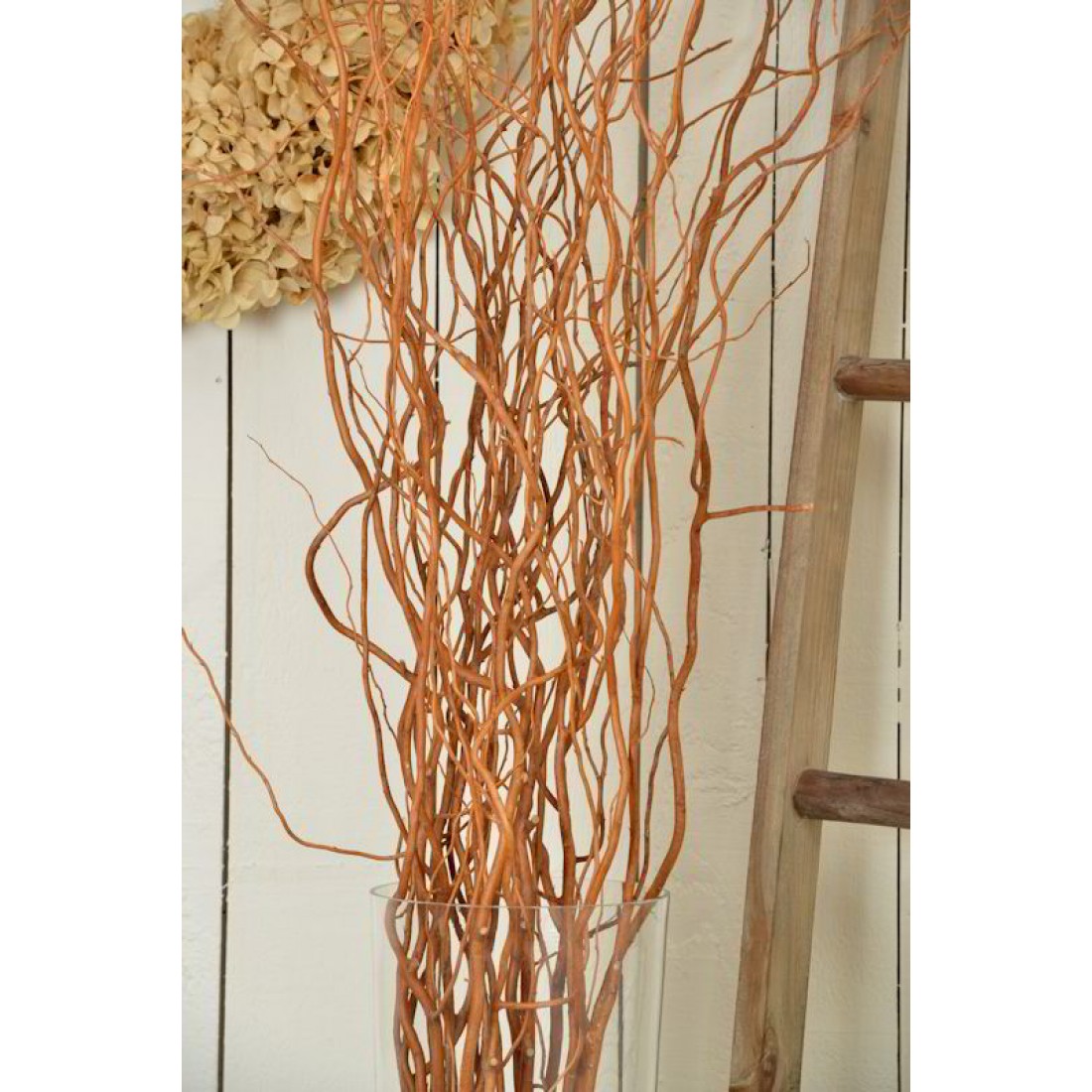 Curly Willow Branches for Arrangements Long Stem Natural