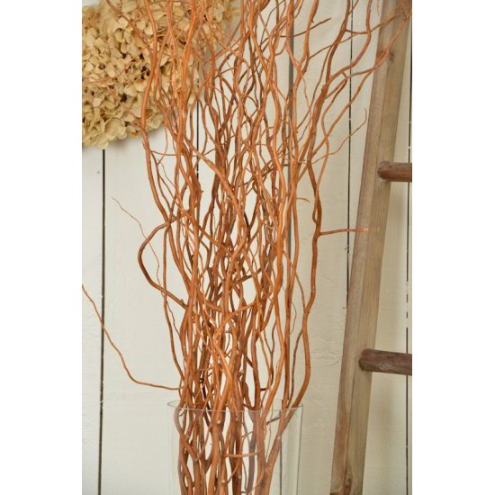 Curly Willow Branches for Arrangements (Long Stem)