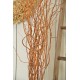 Curly Willow Branches for Arrangements (Long Stem)