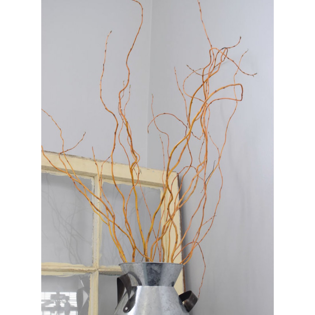 Curly Willow Branches for Arrangements Long Stem Natural