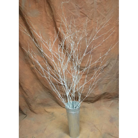 Dried Deco Branch - Silver 3-4ft