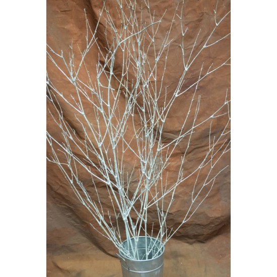 Dried Deco Branch - Silver 3-4ft