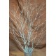 Dried Deco Branch - Silver 3-4ft
