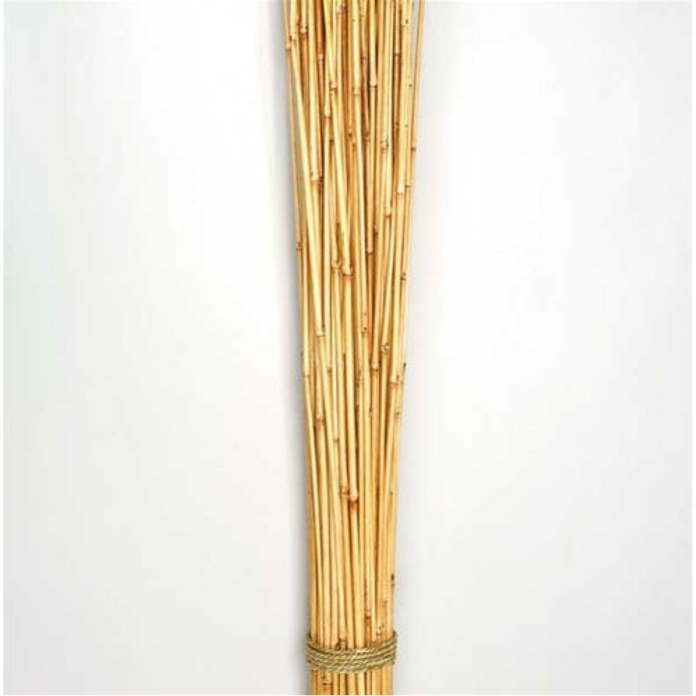 Collection 100+ Pictures hone x bamboo images Superb