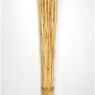 Dried Honey Bamboo Stack - 4ft Natural