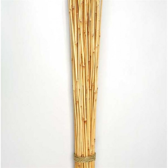 Dried Honey Bamboo Stack - 4ft Natural