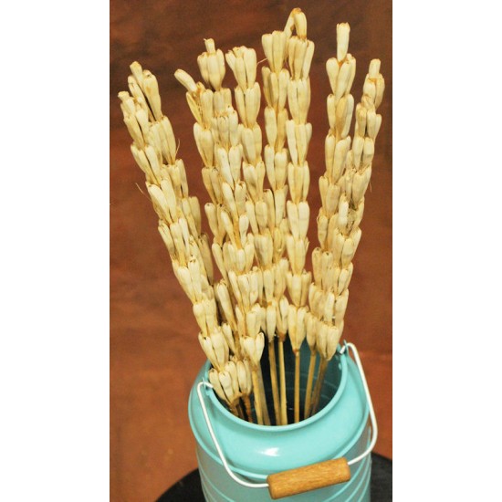 Dried Jack Sticks - Rajni Sticks