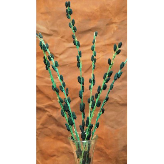 Dried Lichen Sticks