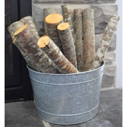 Red Alder Firewood Logs Loose - 6 Decorative Medium Logs