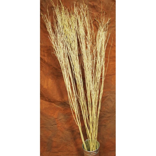 Natural Yangani Branches - Tall